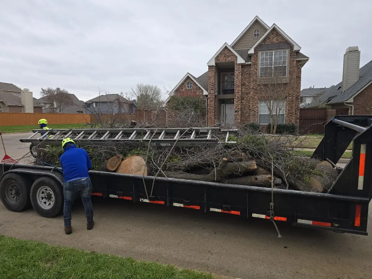 Expert Tree Removal with proper safety equipment in Bloomingdale